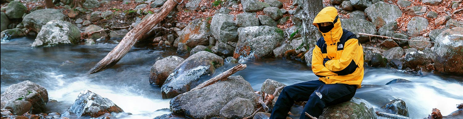 The North Face Banner