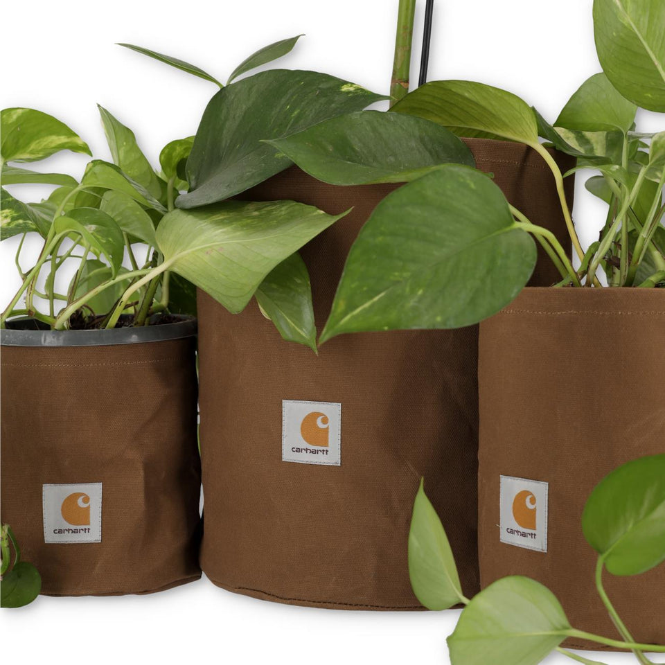 carhartt plant pot Carhartt WIP Canvas Planter Set I032014.HZ.XX