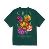 Obey Flores Robus