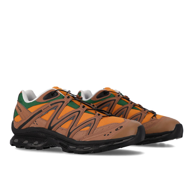 XT-Quest 75th