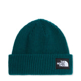 Salty Lined Beanie